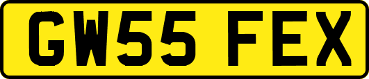 GW55FEX