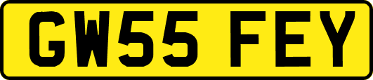 GW55FEY