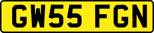 GW55FGN