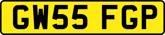 GW55FGP