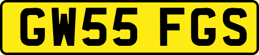 GW55FGS