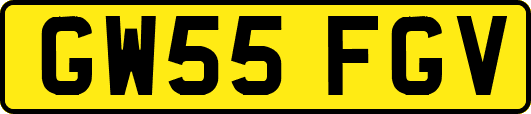 GW55FGV