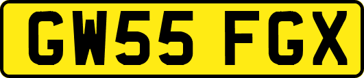 GW55FGX