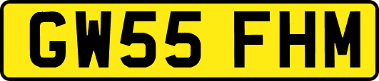 GW55FHM