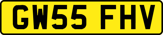 GW55FHV