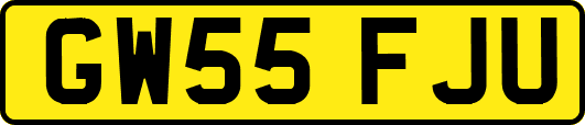 GW55FJU
