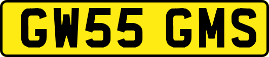 GW55GMS
