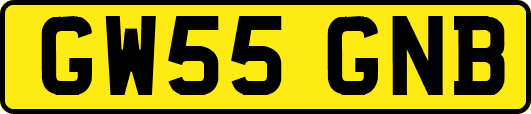 GW55GNB