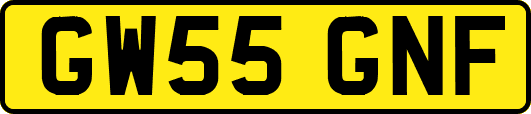 GW55GNF