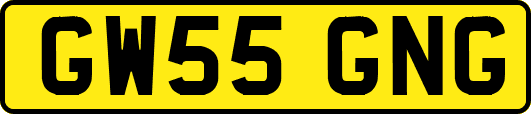 GW55GNG