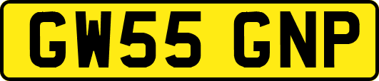 GW55GNP