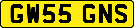 GW55GNS
