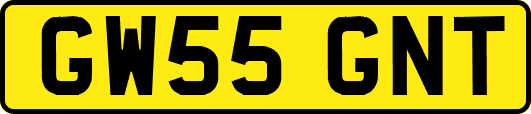 GW55GNT