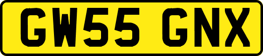 GW55GNX