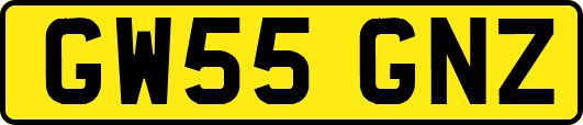 GW55GNZ