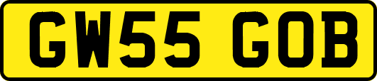 GW55GOB