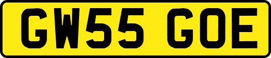 GW55GOE