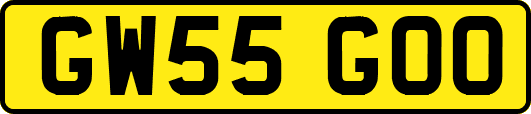 GW55GOO
