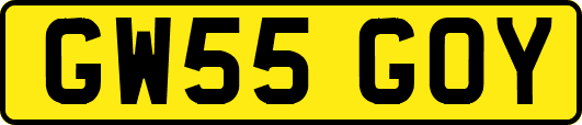 GW55GOY