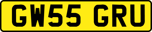 GW55GRU