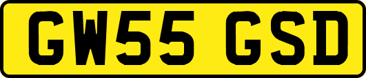 GW55GSD