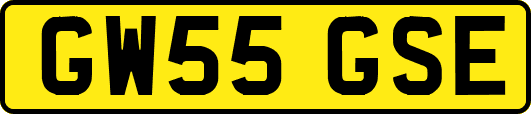 GW55GSE