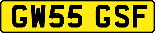 GW55GSF