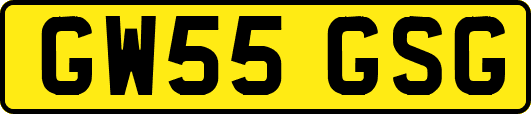 GW55GSG