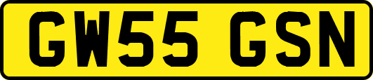 GW55GSN