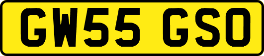GW55GSO
