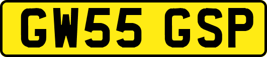 GW55GSP