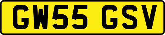 GW55GSV