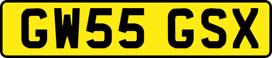 GW55GSX