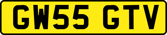 GW55GTV