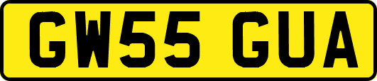 GW55GUA