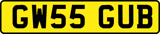 GW55GUB