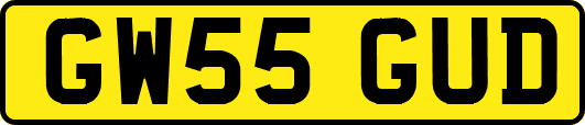 GW55GUD