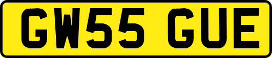 GW55GUE