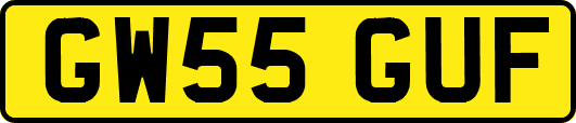 GW55GUF