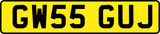 GW55GUJ