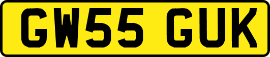 GW55GUK