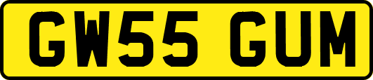 GW55GUM