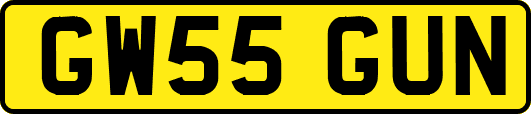 GW55GUN