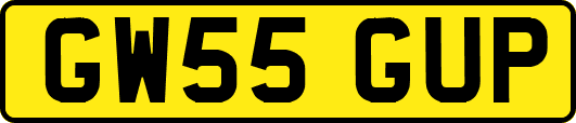 GW55GUP