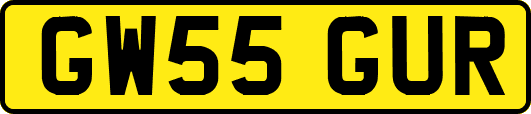 GW55GUR