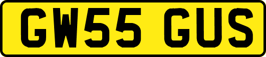 GW55GUS