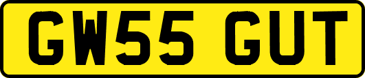 GW55GUT