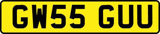 GW55GUU