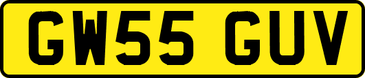 GW55GUV