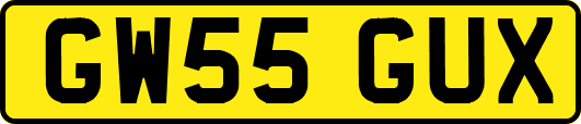 GW55GUX